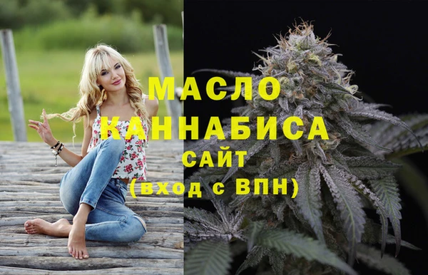 мдпв Бородино