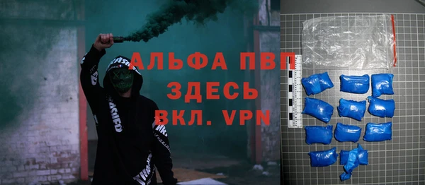 сатива Елабуга