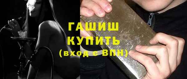 гидра Богородск