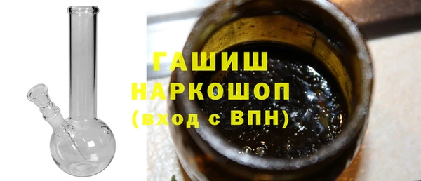 гидра Богородск