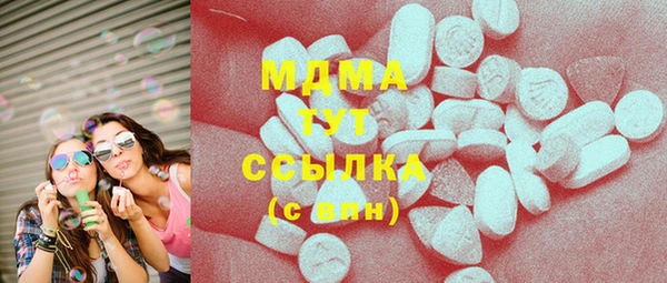 мдпв Бородино