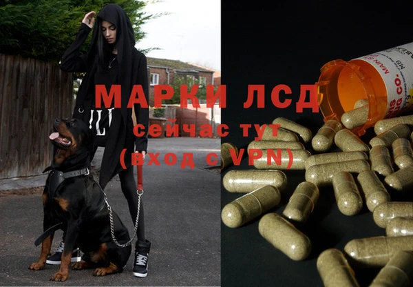 каннабис Богородицк