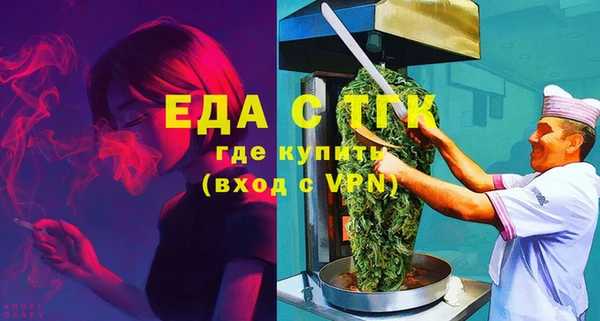гидра Богородск