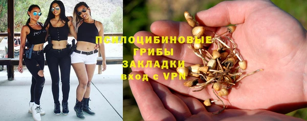 гидра Богородск