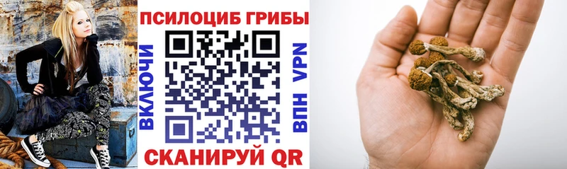 Галлюциногенные грибы Psilocybine cubensis  мега онион  Старица 